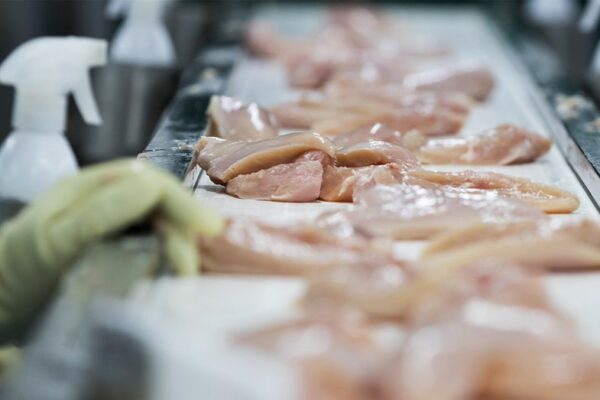 금속 파편으로 오염되었을 우려가 있는 Hormel 닭고기 제품 490만 파운드 리콜