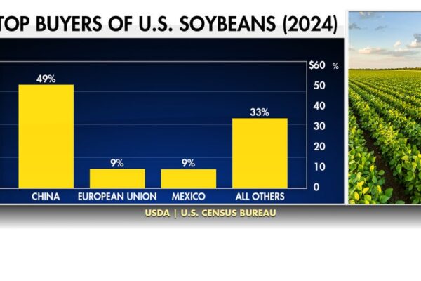 미국 대두 농가, 중국과의 무역 중단으로 인한 비용 상승 및 이익 감소 압박 직면