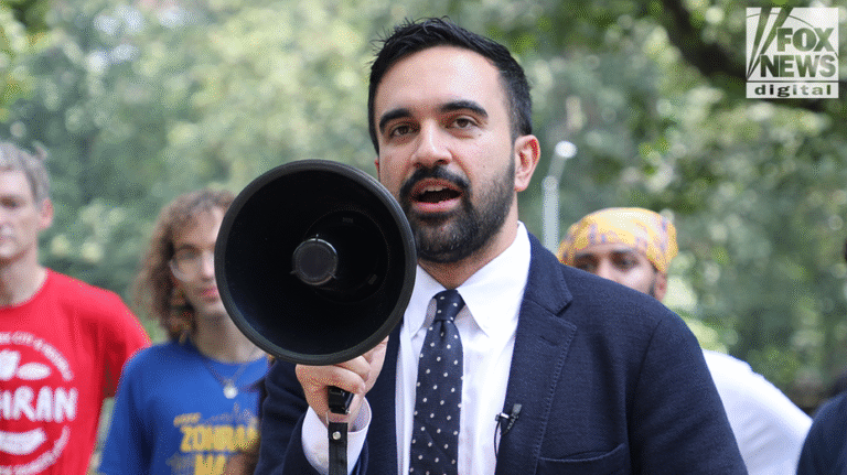 블루 스테이트 주지사는 Mamdani NYC 시장의 승리가 월가와 인접 지역 경제에 부정적인 영향을 미칠 수 있다고 우려했습니다.