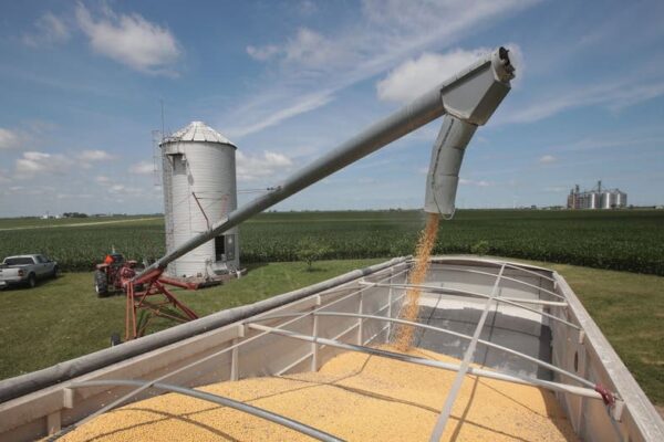 트럼프, 중국의 콩 수입 감축은 미국 농가에 대한 '경제적 공세'