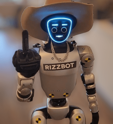 I got the middle finger from TikTok's robotic sensation Rizzbot.