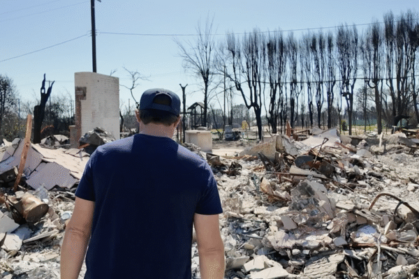 Palisades Fire Arrest: Examining the Monetary Repercussions of a Major LA Wildfire