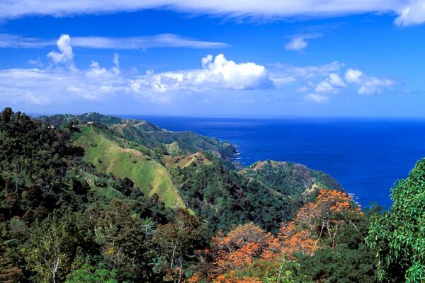 An American tourist was discovered in Tobago, having died from stab wounds.