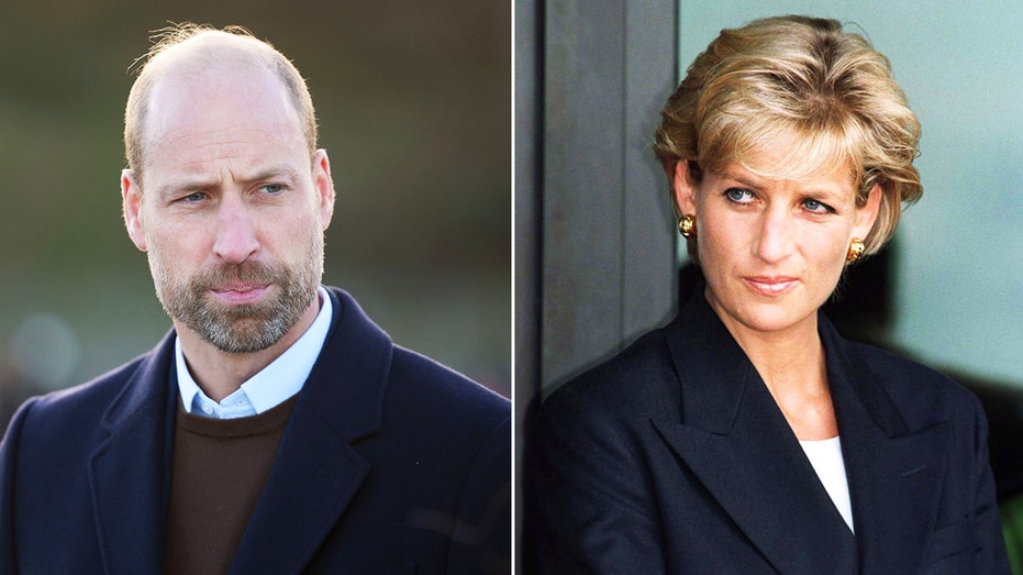 An author claims Prince William still bears a 'wound that will not heal' stemming from the interview that devastated Princess Diana's life.