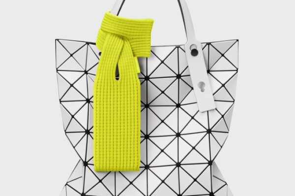 Arguing for Apple's $230 iPhone sheath