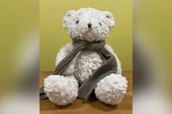 감시 그룹은 AI 테디베어가 선정적인 내용과 위험한 행위를 이야기한다고 경고했습니다.