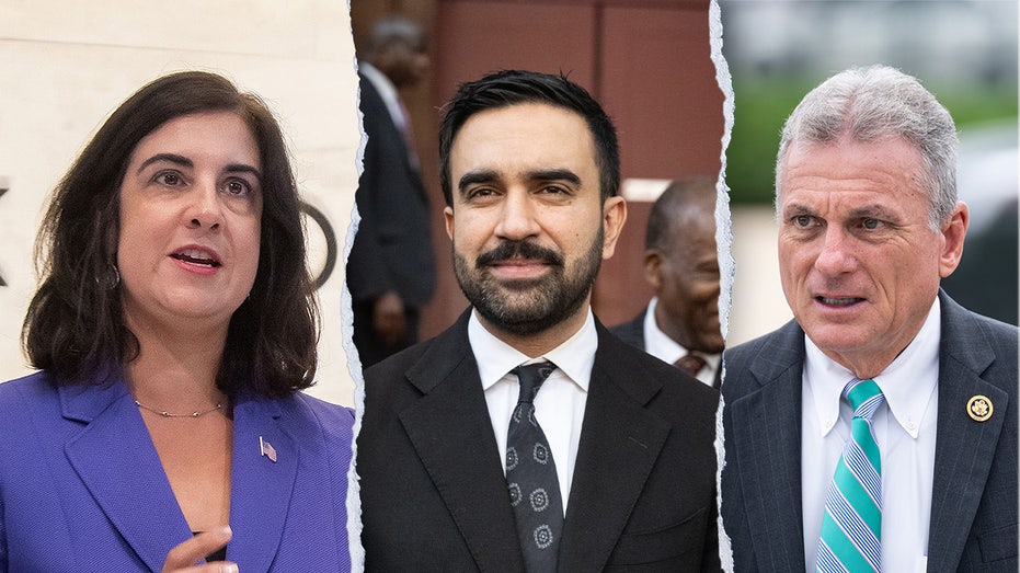 GOP infighting erupts over a controversial proposal to strip funding from NYC during Mamdani's mayoral term, with some calling the bill 'ludicrous'.