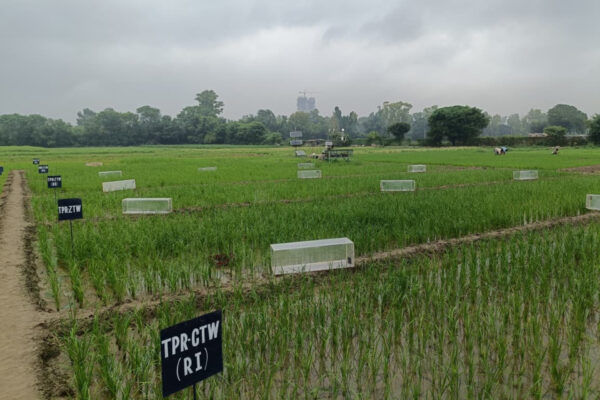 Mirova, supported by Kering, invests $30.5M in Varaha, an Indian company focused on regenerative agriculture.