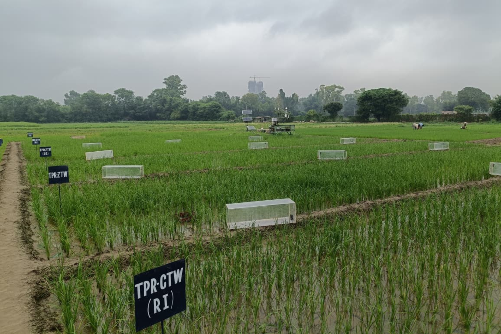 Mirova, supported by Kering, invests $30.5M in Varaha, an Indian company focused on regenerative agriculture.