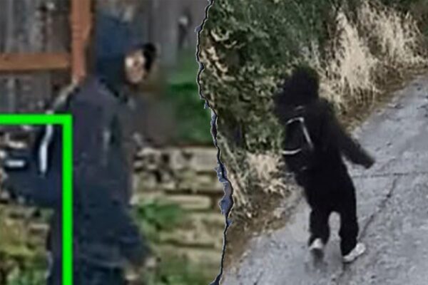 Police report a violent robbery in Seattle where an 88-year-old woman had her finger bitten off by the robber.