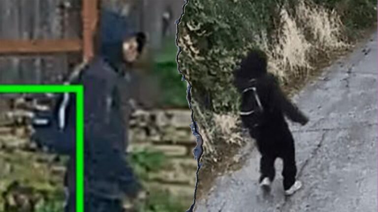 Police report a violent robbery in Seattle where an 88-year-old woman had her finger bitten off by the robber.