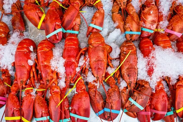 $400k shipment of live lobsters hijacked en route to Midwest Costco locations