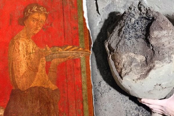 Archaeologists reveal nutritious food remains discovered in ancient villa quarters