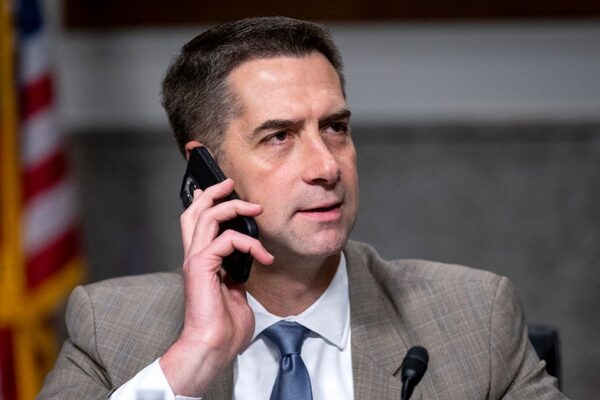 Cotton moves to loosen egg rules in bid to boost supply, ease affordability crunch