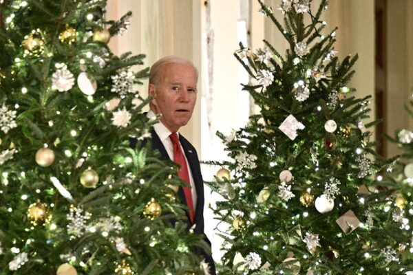 Joe Biden blows up social media over 'humiliating' family Christmas photo he's barely visible in