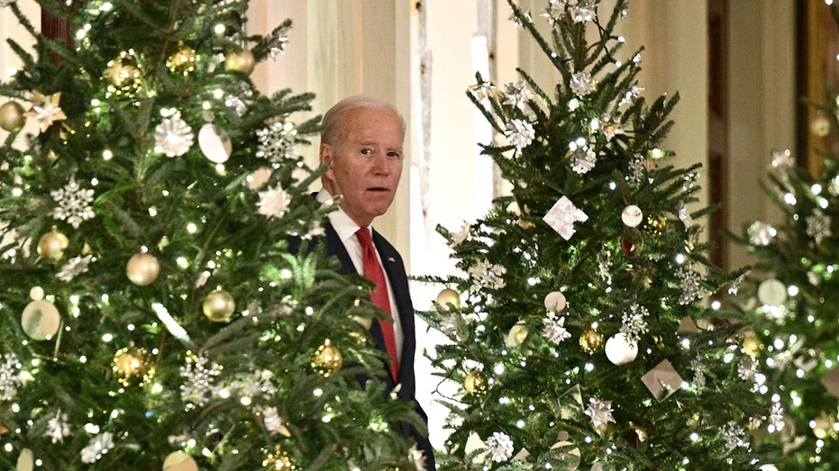 Joe Biden blows up social media over 'humiliating' family Christmas photo he's barely visible in
