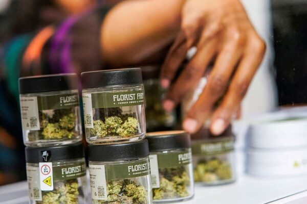 Chicago Catholic university offers courses on running cannabis dispensaries