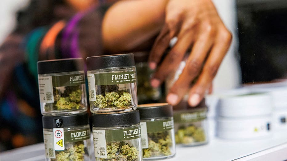 Chicago Catholic university offers courses on running cannabis dispensaries