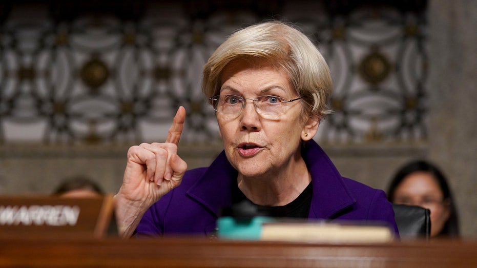 Elizabeth Warren calls on Democrats to reject billionaire donors ahead of 2026 and 2028 elections