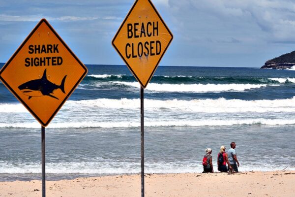 Fourth shark attack in three days rocks Australia as authorities close beaches and deploy drumlines