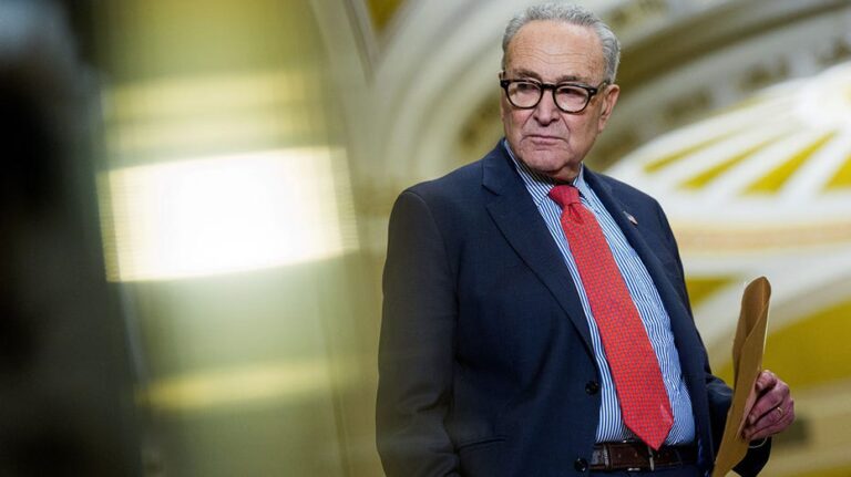 Schumer reveals 'bipartisan' plans to reverse DOGE cuts as lawmakers work through funding push