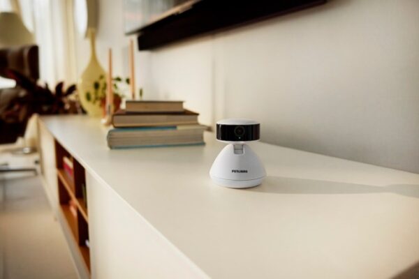 These are the best gadgets for your pet right now