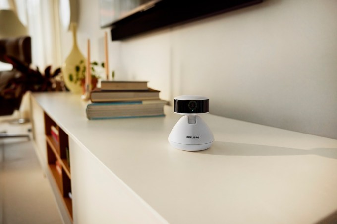 These are the best gadgets for your pet right now