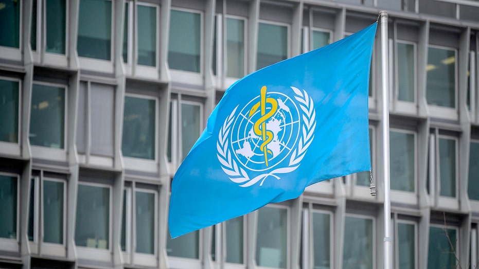 World Health Organization says US withdrawal makes the nation and the world 'less safe'