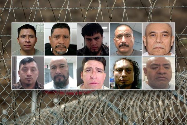 ICE sweeps up convicted pedophiles, traffickers in massive holiday weekend sting: 'Worst of the worst'