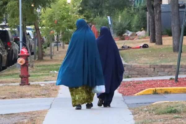 'It's hidden': Female genital mutilation and the secret shame of Minnesota's Somalis