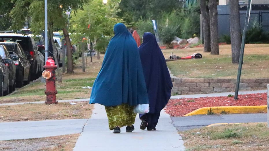 'It's hidden': Female genital mutilation and the secret shame of Minnesota's Somalis