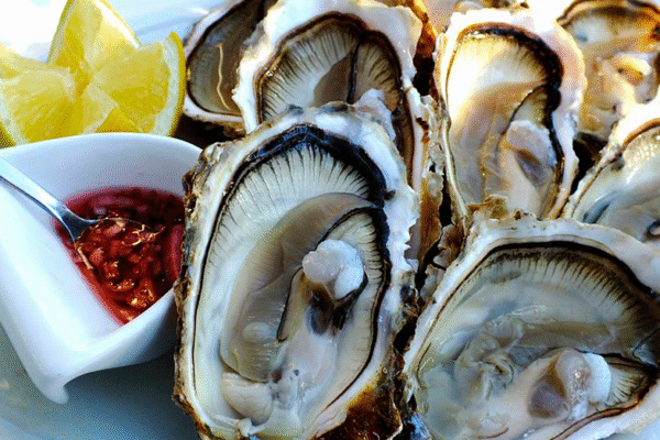 Clams, raw oysters recalled over possible norovirus contamination across 9 states: FDA