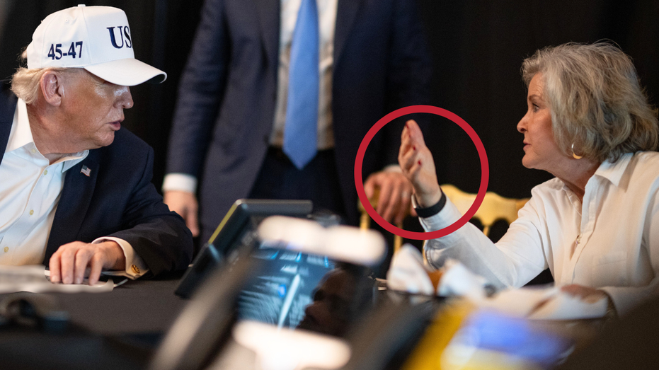 'It’s called a Whoop': CEO rejects security risk claim about Susie Wiles