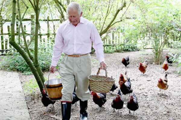 King Charles' chicken coop at Highgrove has a name that will make you do a double take
