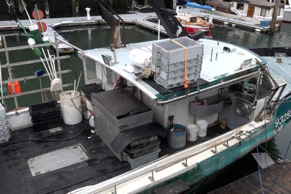 Maine lobster industry hit by harsh winter, falling catch and rising costs