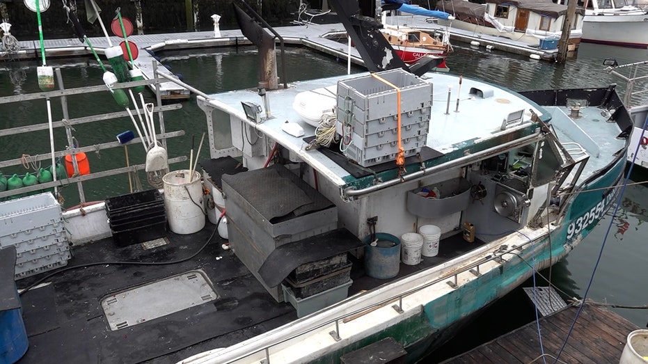 Maine lobster industry hit by harsh winter, falling catch and rising costs