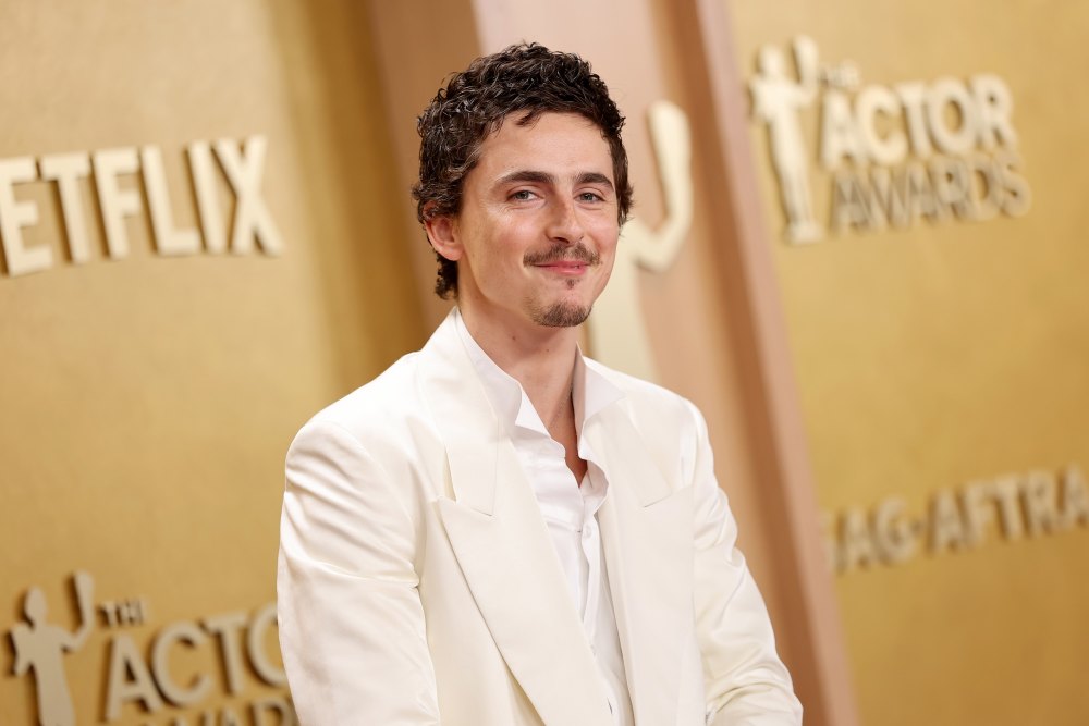 Timothee Chalamet Said Ballet, Opera Were 'Dying' Years Before Recent Drama