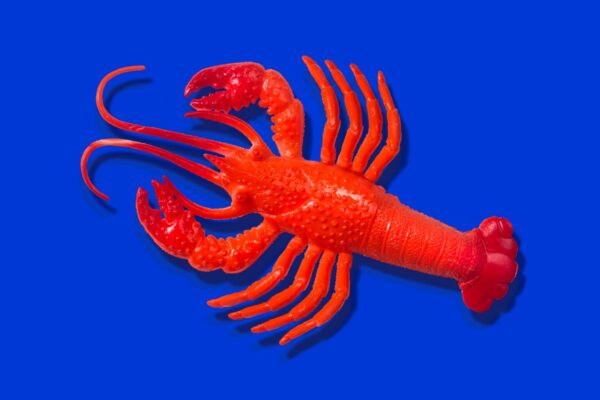 Anthropic says Claude Code subscribers will need to pay extra for OpenClaw usage