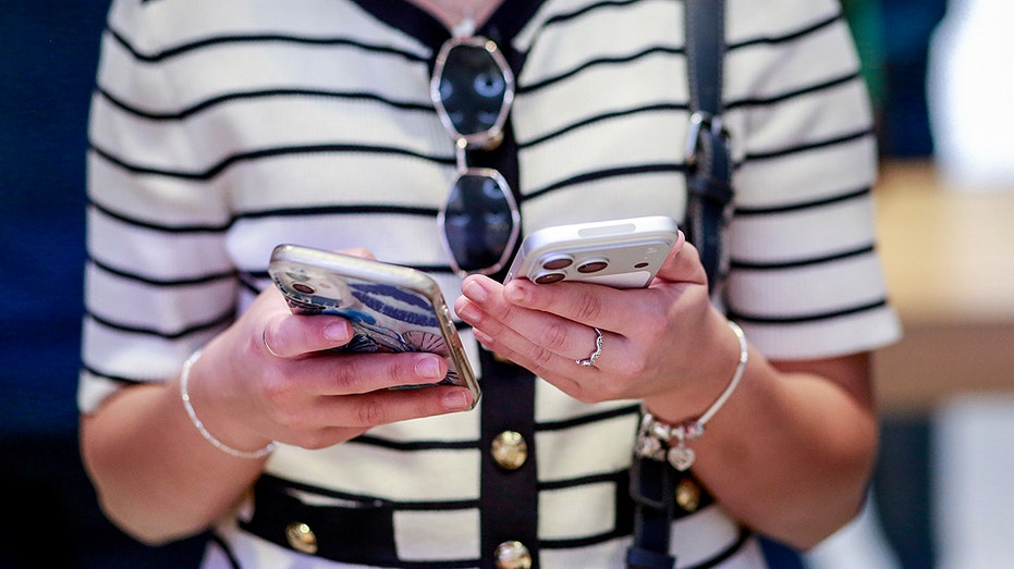 Apple Pay text scam almost cost her $15,000