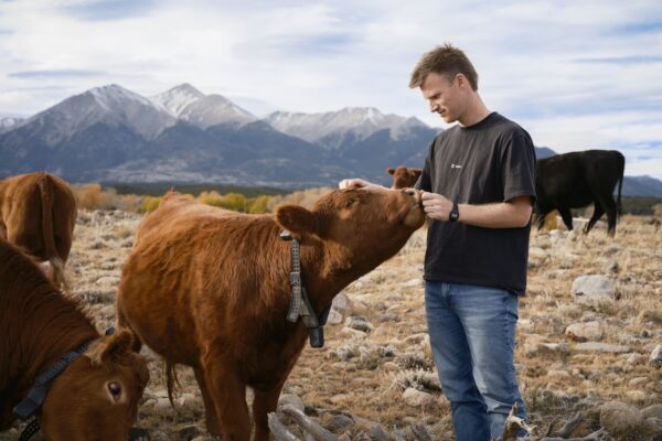 Peter Thiel’s big bet on solar-powered cow collars