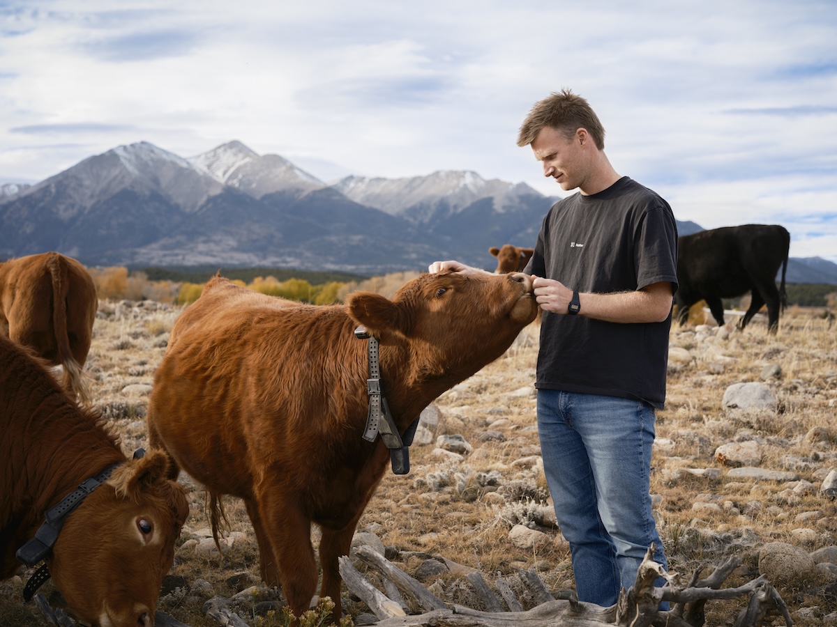 Peter Thiel’s big bet on solar-powered cow collars