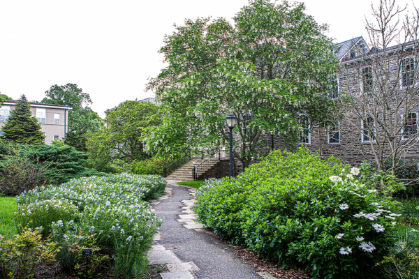 Liberal arts college drops prof’s name from campus hall after grave dig controversy