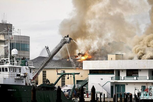 Massive fire destroys University of South Florida laboratory building: 'Total loss'