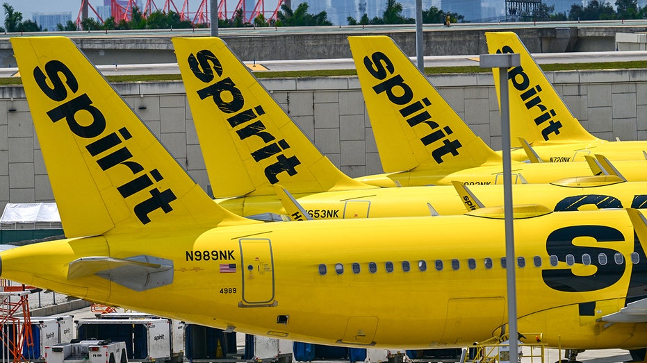 TikTok creator's crowdfunding campaign to buy Spirit Airlines racks up more than $335M in pledges